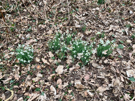 23-02-18 15-56-49 4271